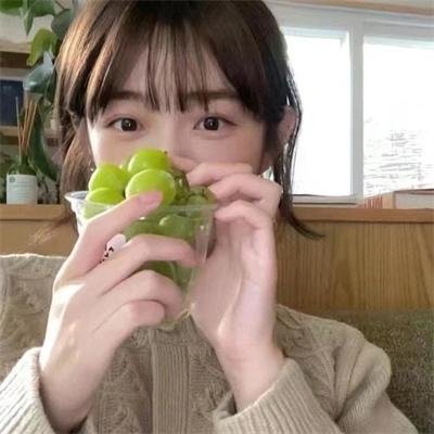 惊险的假期