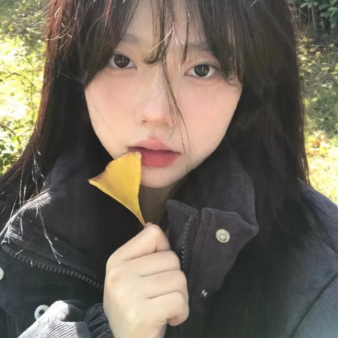坏伙伴